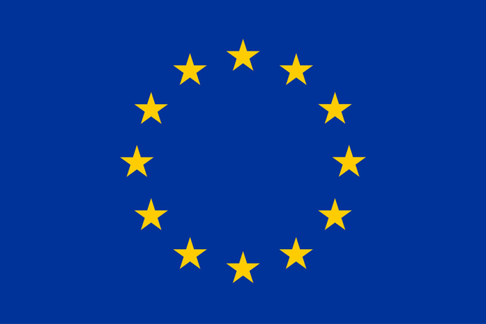 European Union Flag